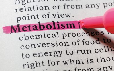 Understanding your Metabolism